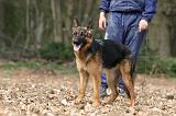 ADULTE ET CHIEN 352